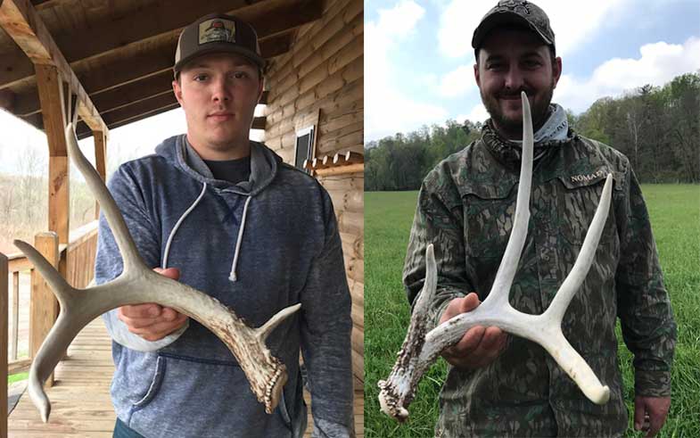 Shed Deer Antlers from Southern Ohio Outfitters